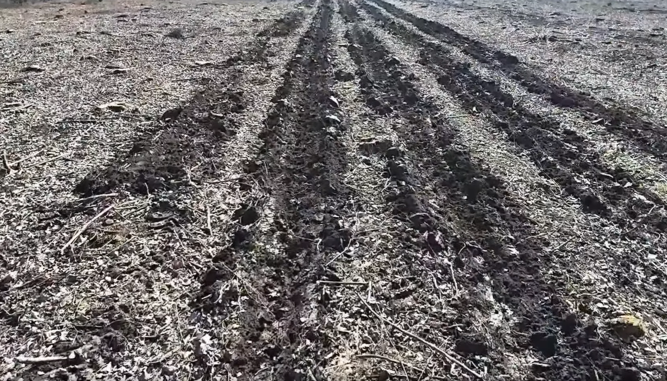 A kihívás
